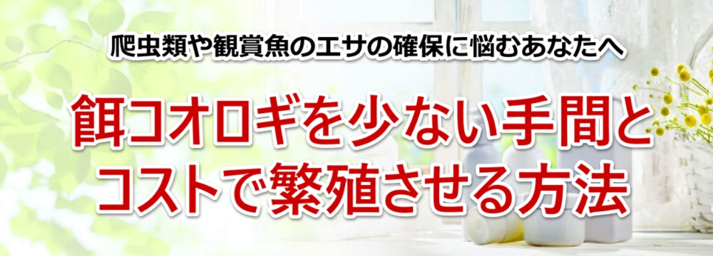 菤@̃y[W